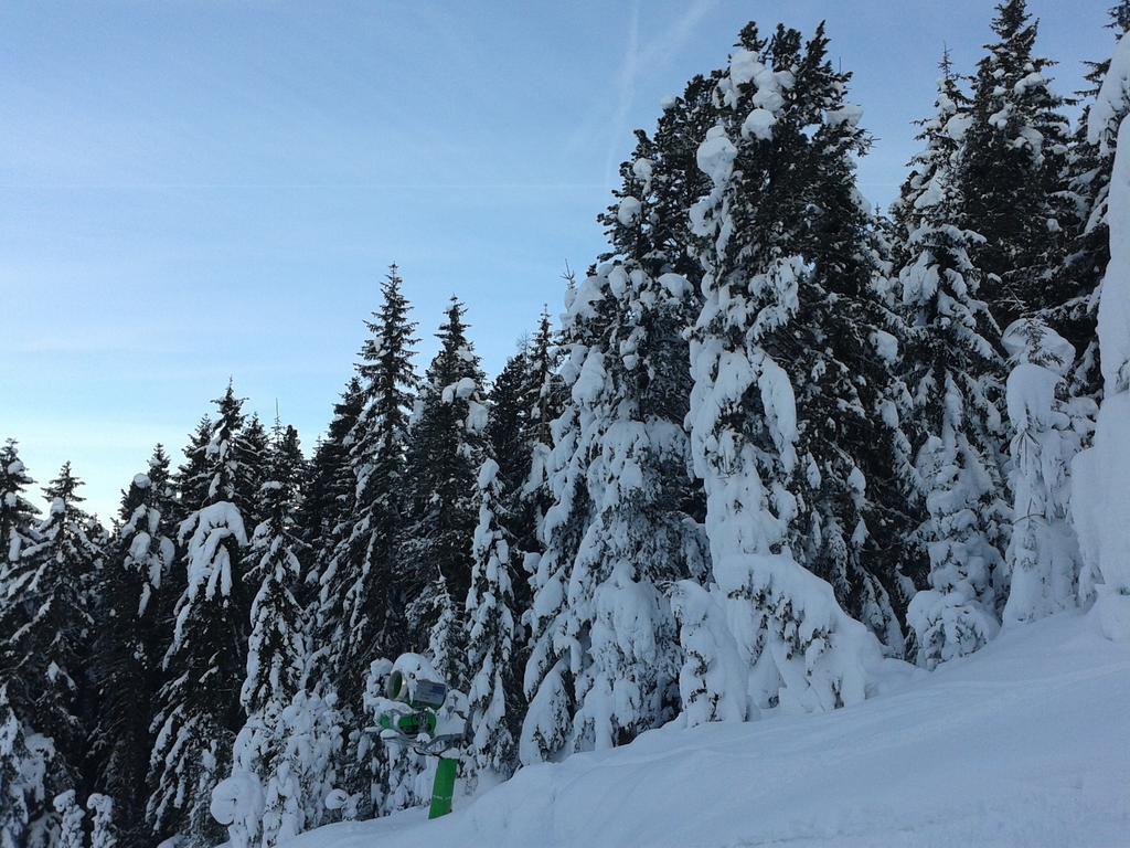 Haus Taxacher Rohrberg エクステリア 写真
